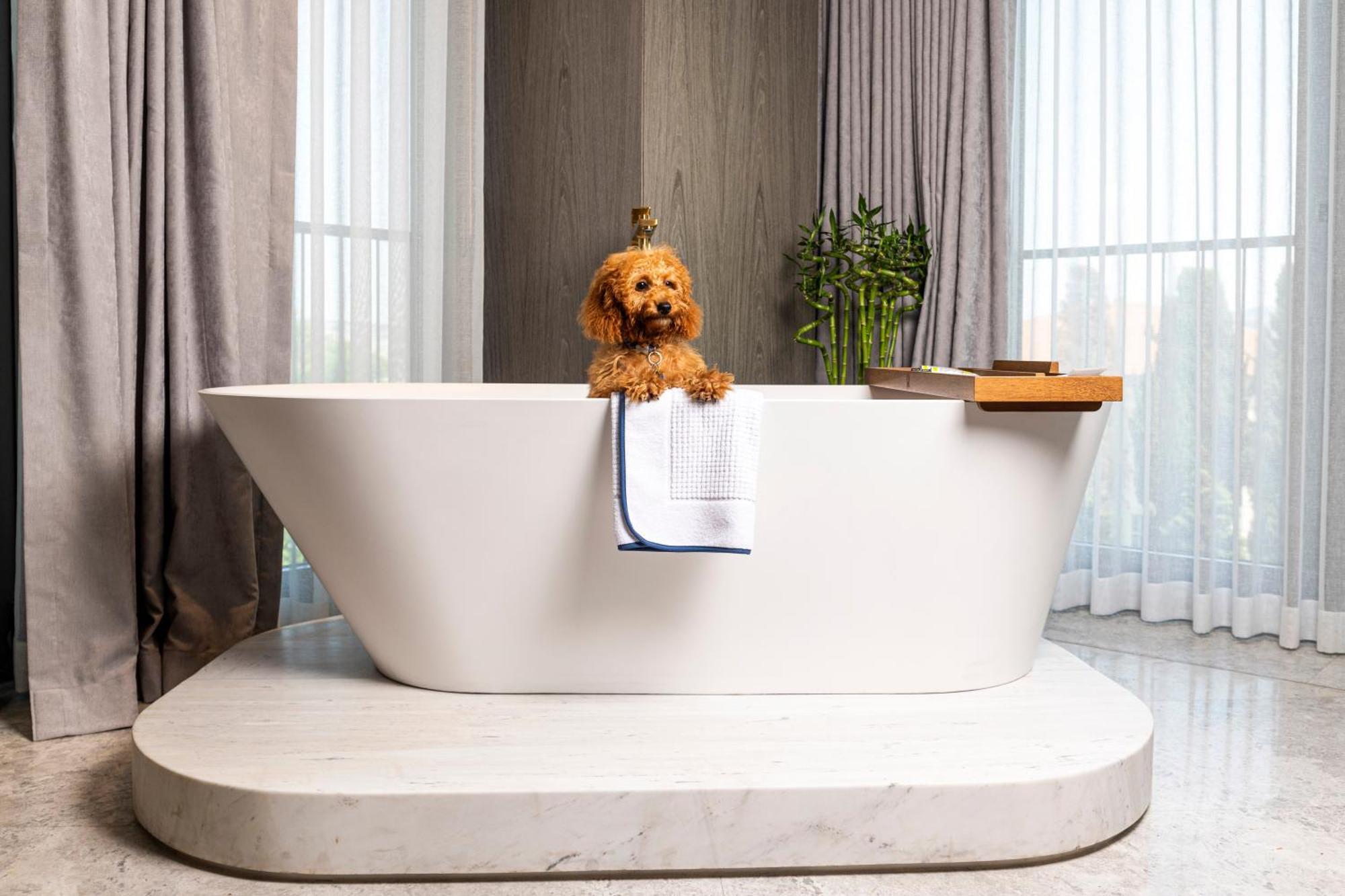 The Maestro Hotel 이스탄불 외부 사진